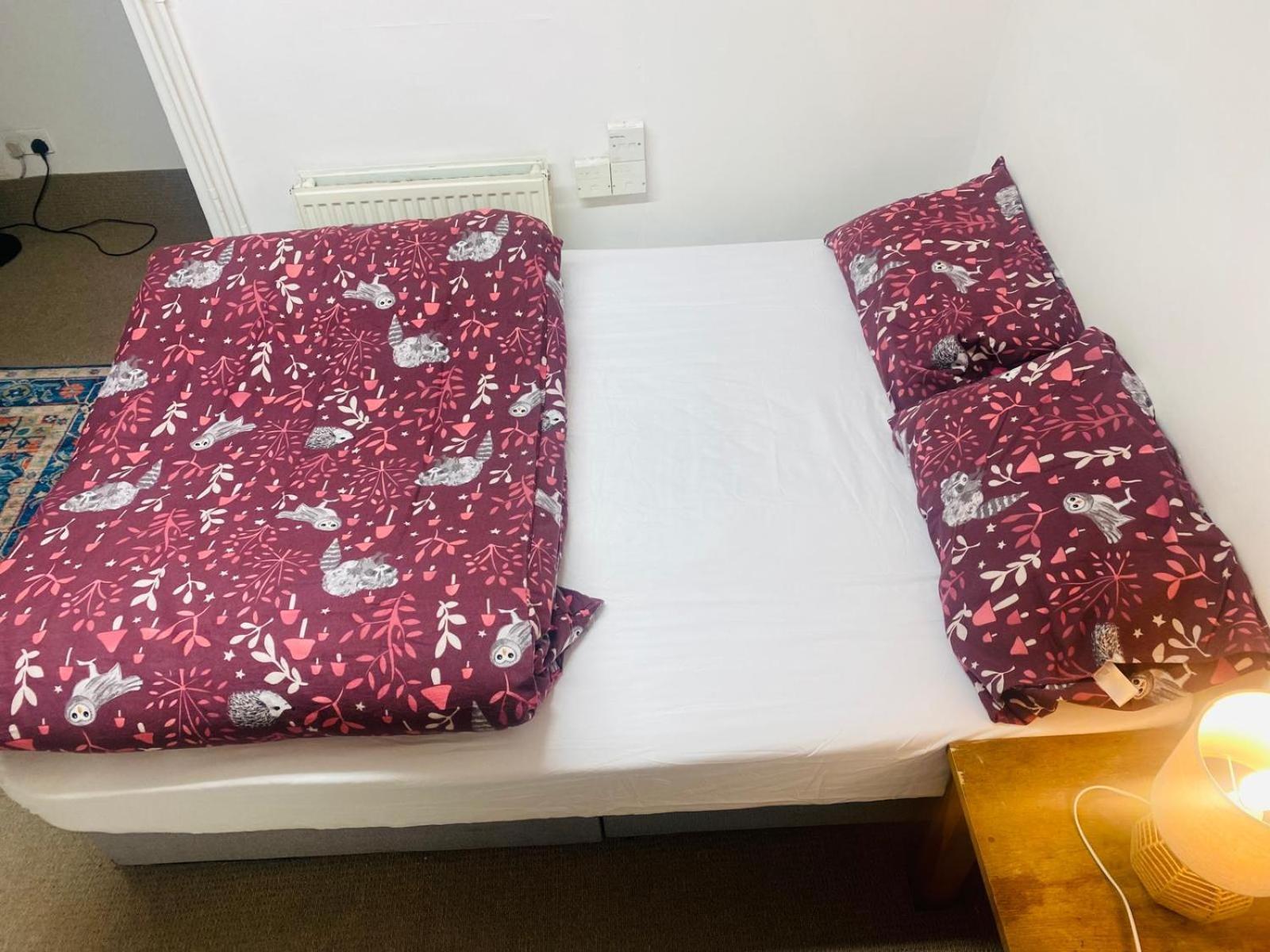 Cozy Studio Opposite Chelsea Stadium London Ngoại thất bức ảnh